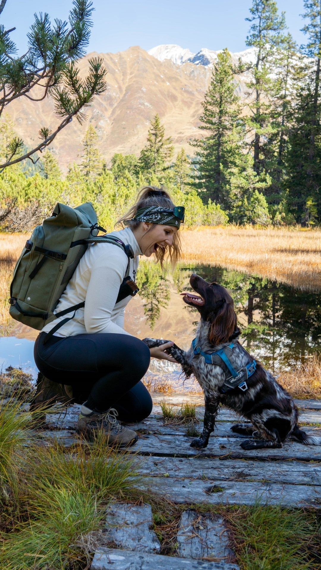 Sport mit Hund – das musst du beachten