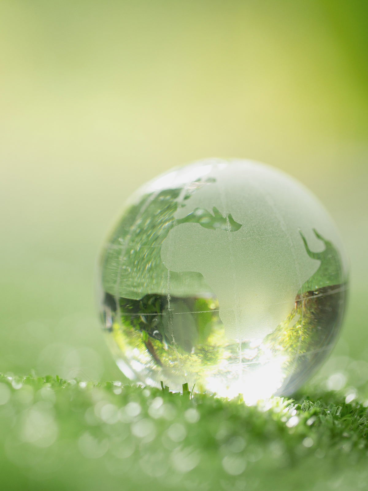 The Future is now: Unsere Maßnahmen für nachhaltiges Wirtschaften